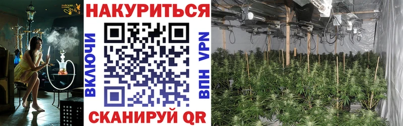 Купить закладку Благодарный ГАШИШ МАРИХУАНА Cocaine Меф мяу мяу