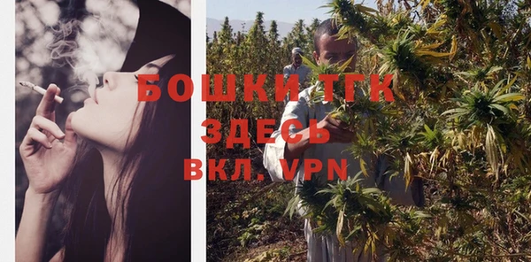 apvp Богородск