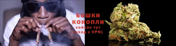 apvp Богородск