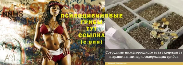 apvp Богородск