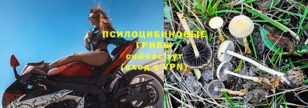 apvp Богородск